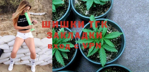 тгк Арсеньев