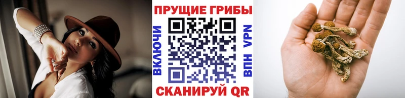 Купить  Нижняя Тура  Галлюциногенные грибы GOLDEN TEACHER 
